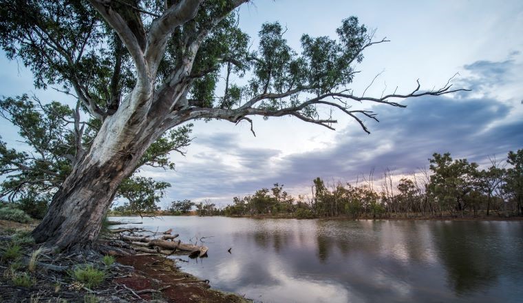 River sunset, mid Murray River